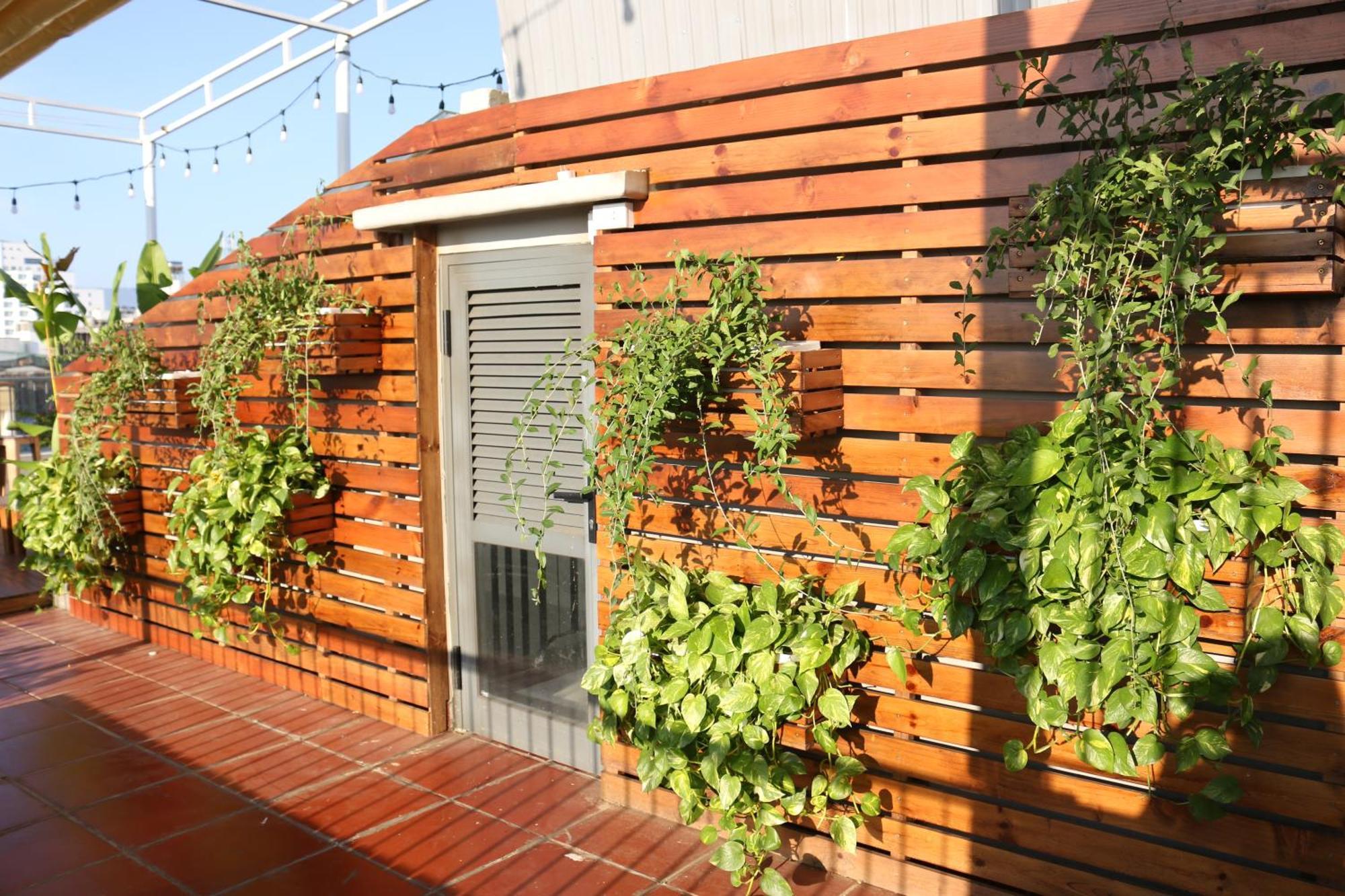 Mira De Sol Homestay Дананг Екстериор снимка